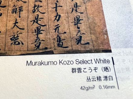 Échantillon awagami murakumo kozo select white