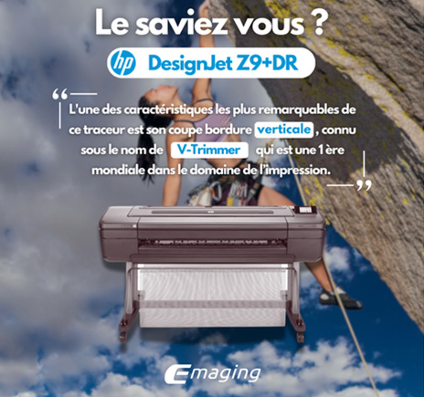 Le saviez vous V-Trimmer coupe bordure verticale HP Z9+DR